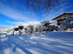 Sport-Wellnesshotel Bichlhof, Kitzbühel, Österreich